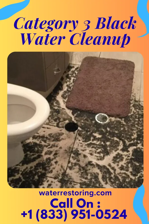 Category 3 Black Water Cleanup in Royal Palm Beach, FL