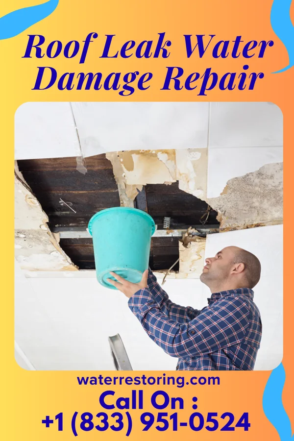 Roof Leak Water Damage Repair in Royal Palm Beach, FL