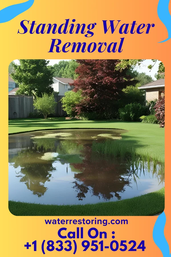 Standing Water Removal in Royal Palm Beach, FL